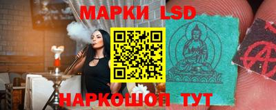 молекула духа Будённовск