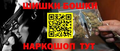 молекула духа Будённовск