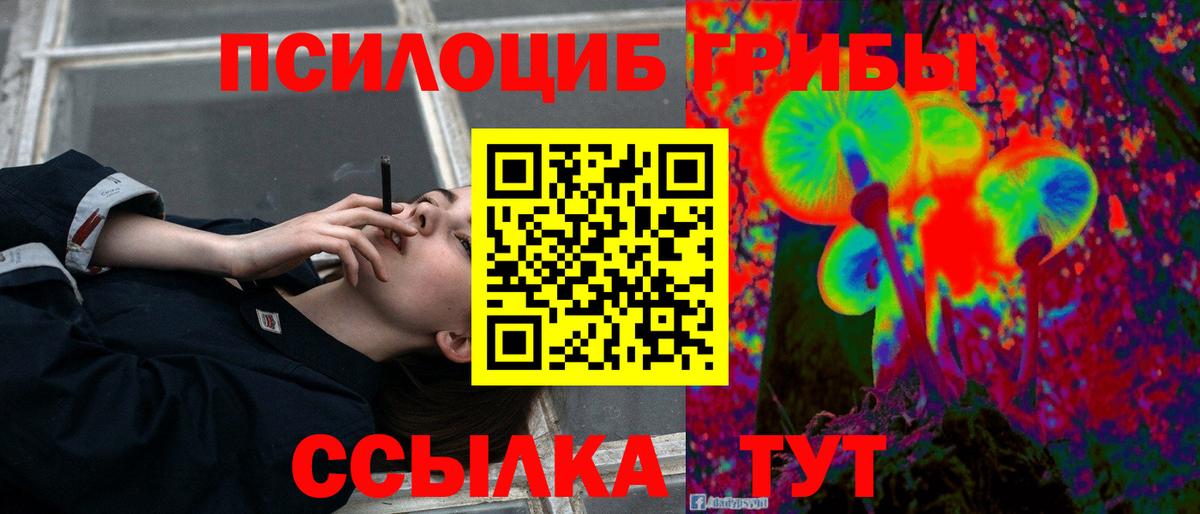 Галлюциногенные грибы Cubensis  закладка  Тында  Вход с VPN 